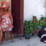 Persino un cane di San Bernardo, conosciuto a Mola come �Beethoven�, gemello della star televisiva, amava stendersi accanto alla sontuosa vegetazione per  rifugiarsi dal caldo